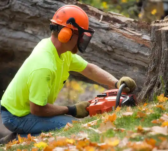 tree services Rush City